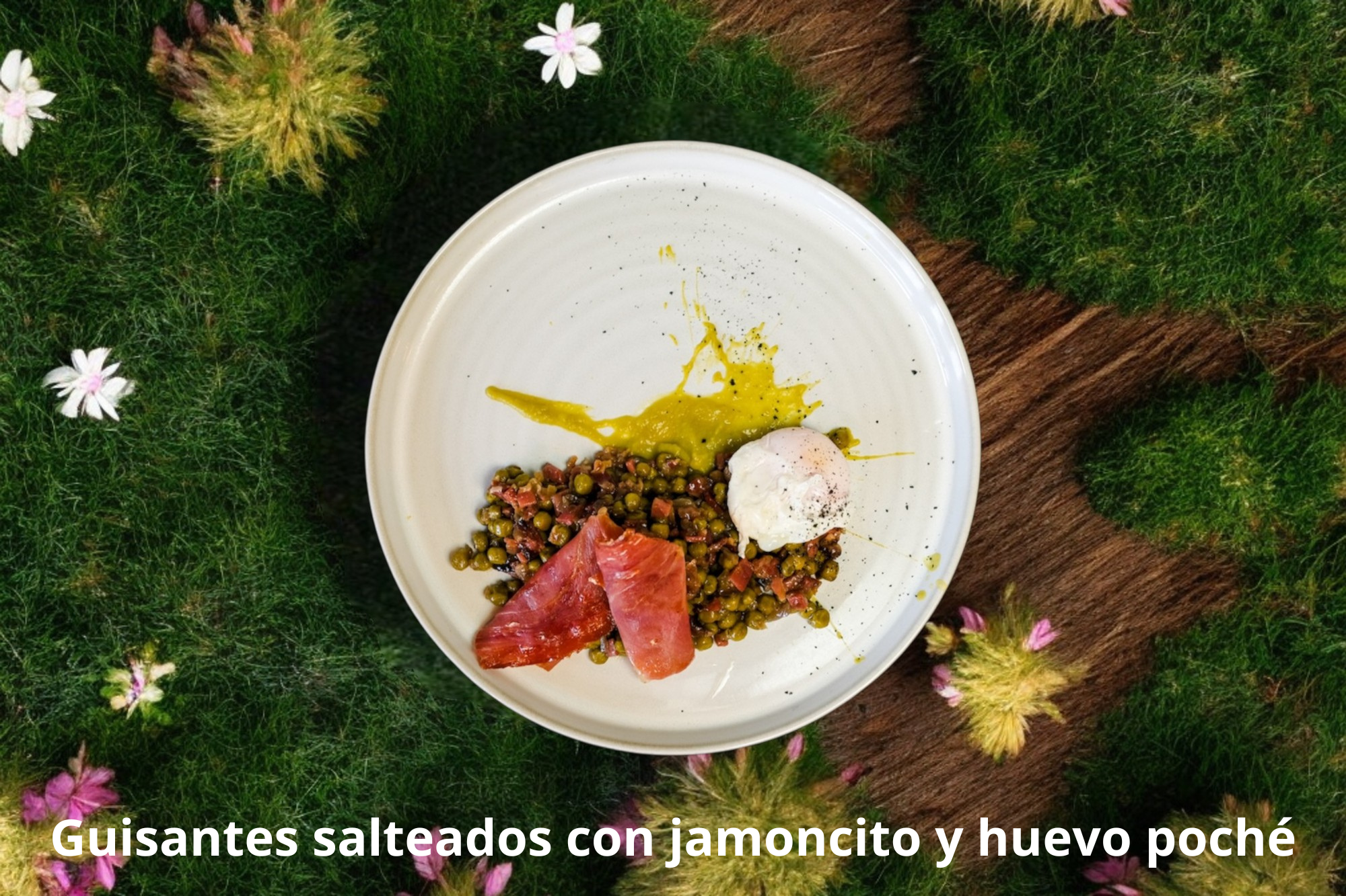 menu-mediodia-entrantes1